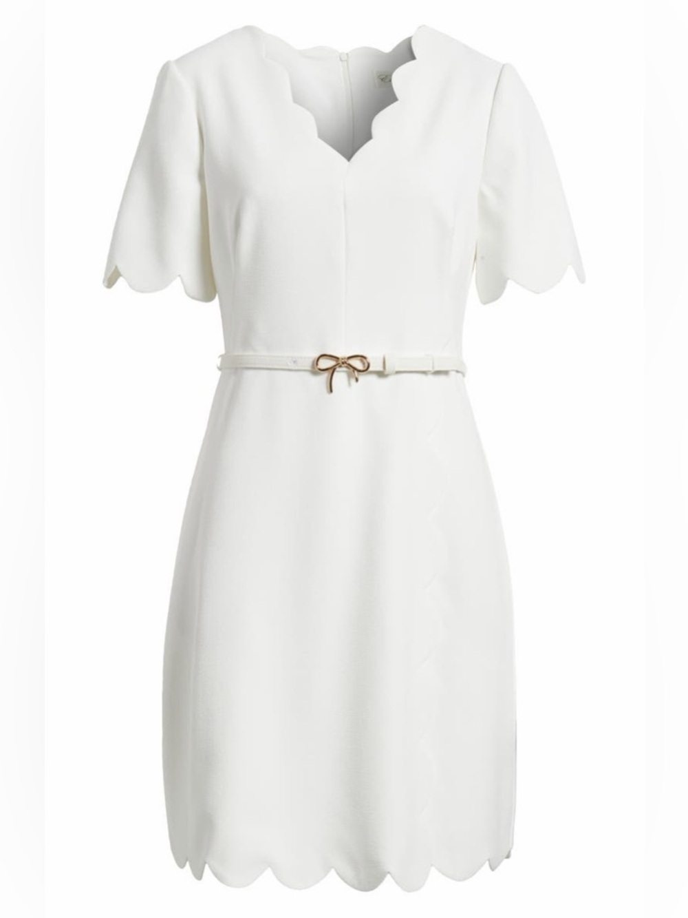 Eliza J Scalloped Short Sleeve A-Line Belted  Dress